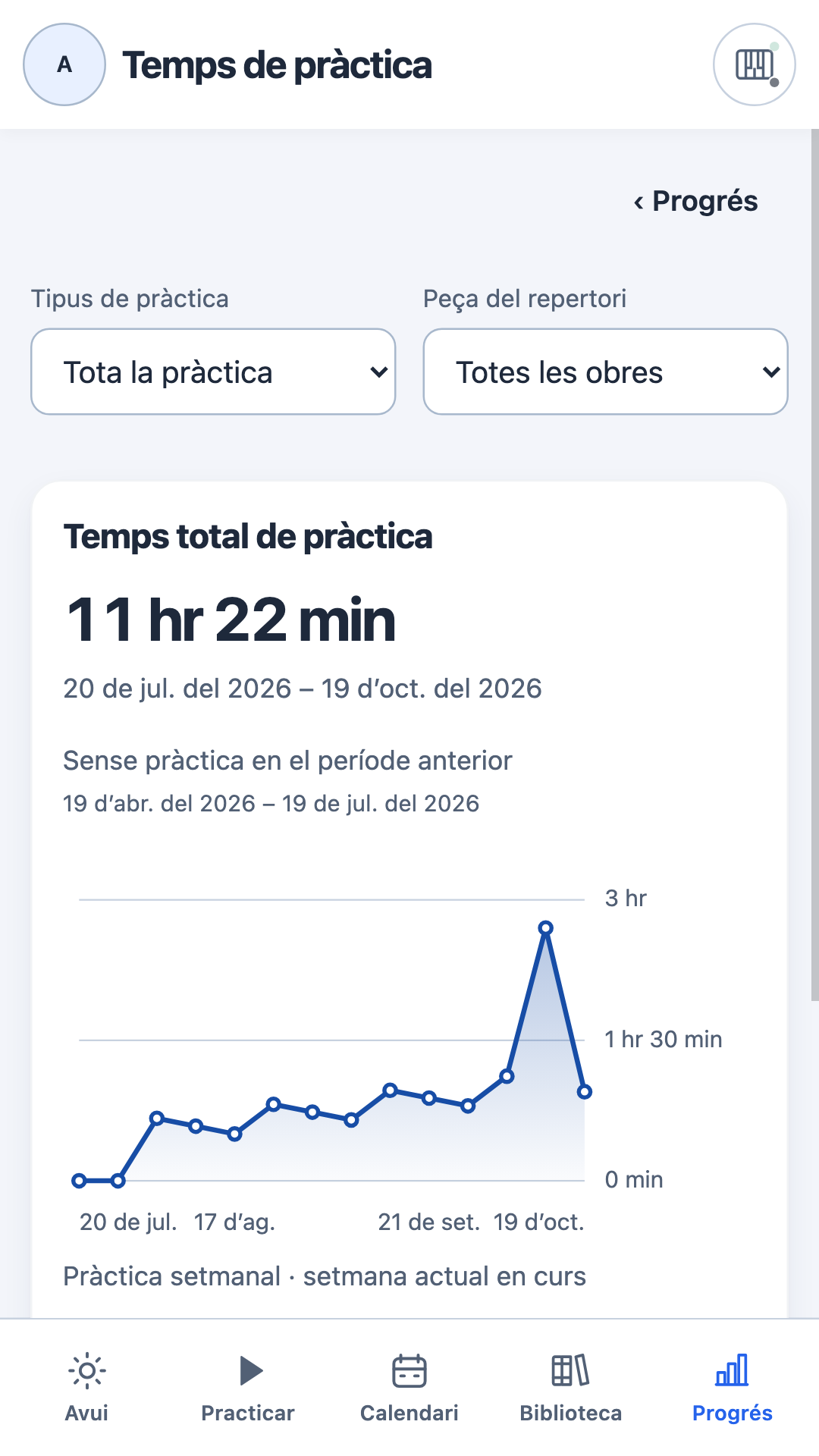 Detall del temps de pràctica amb filtres per activitat i obra